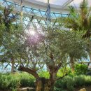 버스정류소_마곡역 이미지