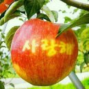 이모든