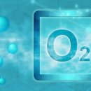 척추가 중심 이미지