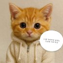 대불주거6로L | 차] 도쿄 2일차 도쿄근교 가마쿠라 일정 - 가마쿠라, 슬램덩크 성지, 에노시마, 가마쿠라 대불, 요코하마