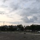 포항 시내 감성 카페 유오디아(구, 다락커피) / 옛집 느낌의 카페
