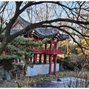 곰달래로6길 | 양천구점집 인생 갈림길에서 찾은 용화당, 운세 보고 마음 정리했습니다!