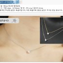 체크 원피스1 + 큐빅 은 목걸이1 = 41100원 이미지