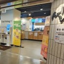 소노펠리체 델피노 이미지