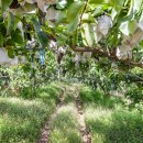 금평농장 이미지