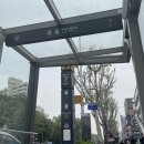 목동SMP 두피채움 모가인 SMP