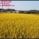 임봉보건진료소 이미지