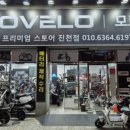 전동개러지