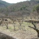 고리농장 이미지