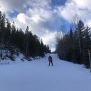 ※ Bragg creek crosscountry skiing-231216 이미지