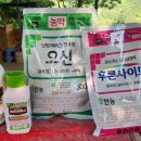 에스케어스 네이버블로그