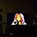 시골영양탕 이미지