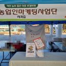 신성커머스