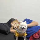 오렌즈 남목점 | 사실 난 아직 널 보면 무너진다