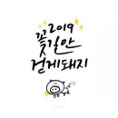 와이번주짓수합기도