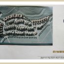펜션1996 티스토리