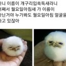 1층매점 이미지