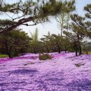 왕궁농장 이미지