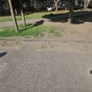 66호 어린이공원 이미지