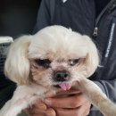 신서로 이미지