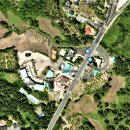 표선동서로 이미지