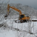박달골꿀사과