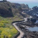 제주와서 이미지