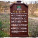 약천 산책로 이미지