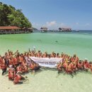 Saving the sea by helping corals grow..코랄을 보호합시다~~ 이미지