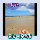그린파크여관 - 의정부시 태평로63번길 18 | 제주 금능 해수욕장 후기｜제주도 아이랑 가기 좋은 제주도가볼만한곳 추천