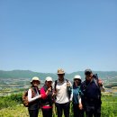 양구 DMZ 펀치볼 둘레길(만대벌판길)