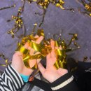 글로우 | 2026 더글로우 페스티벌 후기🫵🏻🥹