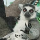 원조마늘통닭집 이미지