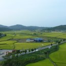 롯데마트 주변도로 이미지