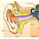 마노성형외과의원 이미지