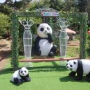 토종한우농장 이미지