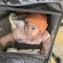 오또베베 이미지