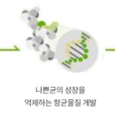 (주)조이앤드 네이버블로그