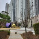 신미주(아) 네이버블로그