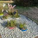 시민정원 이미지