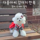 손바느질 생활한복 | 강아지 핸드메이드 맞춤제작 한복, 다홍아씨 꽃비철릭