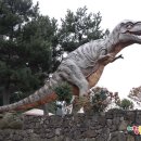 코델리아리조트 이미지