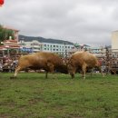 화인컴