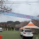 상예동-7 | 제주 벚꽃 명소 예래생태공원과 웃물교 도민 탐방 후기