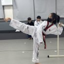 늘품태권도 이미지