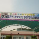 낙산초등학교 Daum카페