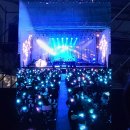 플레로마 이미지