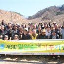 꿀벌목장 이미지