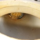 보민한의원 이미지