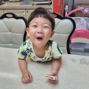 세담방 이미지